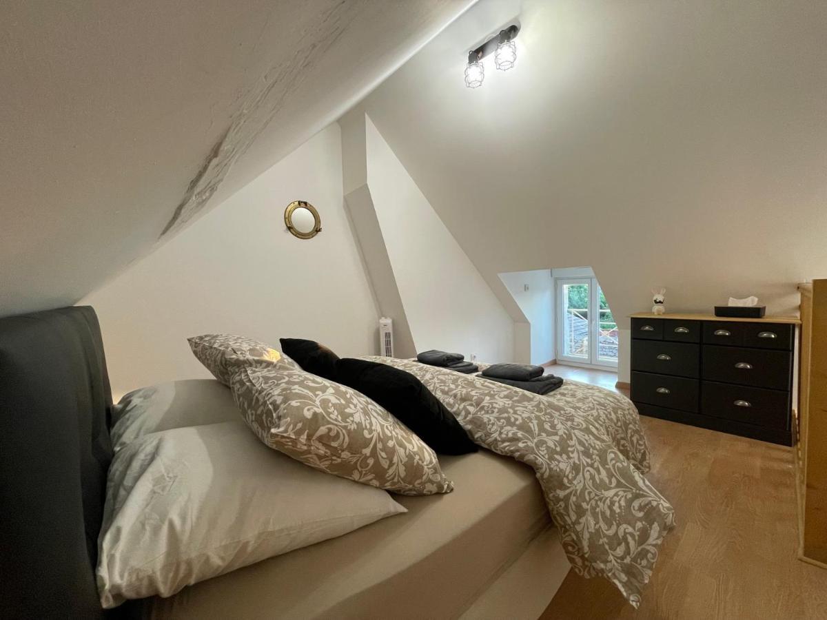 Le Faubourg Des Trois Provinces, Zoo De Beauval Apartman Noyers-sur-Cher Kültér fotó